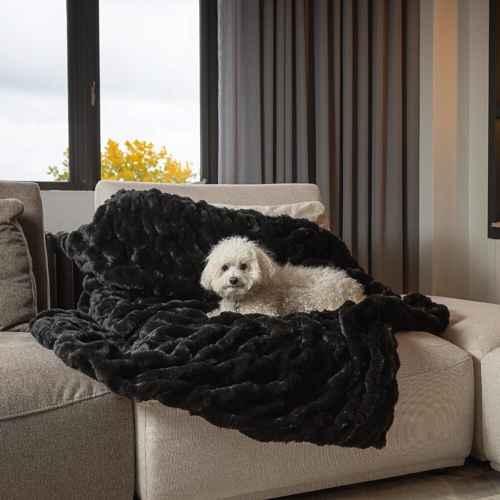 Luxe Home Decor Signature Faux Fur Throw | 1-Piece | Cony black | 50"x60"
